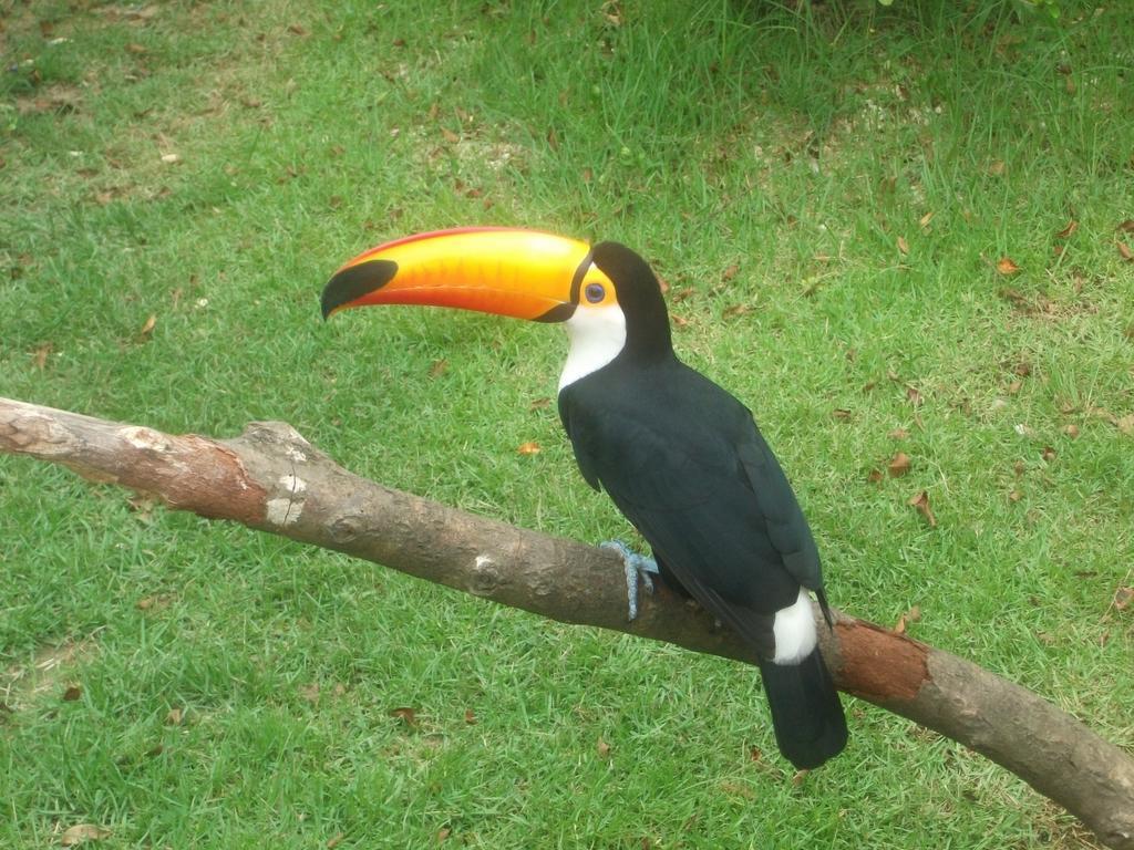 Tacuara Lodge Oberá 外观 照片